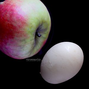 Cover ACF <li> zwing </li> - A big apple in upper left, and egg in the lower left, black background